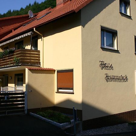 Haus-Kummeleck-Wohnung-3 Бад Лаутерберг Екстериор снимка